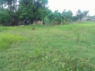 Residential lot bacay tulay lot only data2