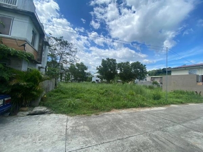 Residential Lot For Sale 160sqm Earth & Homes Subdivision Subic Zambales