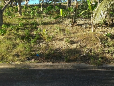 Residential Lot for Sale in Cebu City 303 sqm, Greenwoods Subdivision