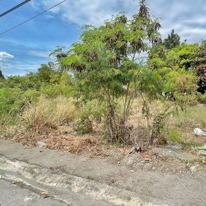 Residential Lot For Sale in Iloilo St., South City Homes, Biñan City