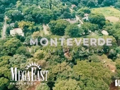 residential lot in monteverde east executive village for sale