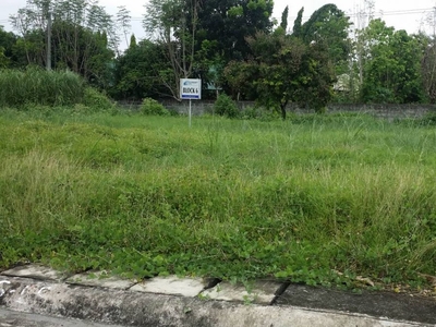 Residential Lot in Tarlac For Sale