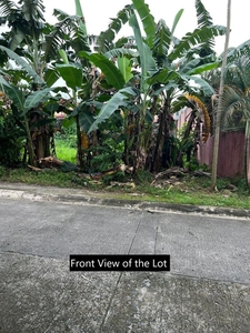 Residential Lot near Marikina and Quezon City