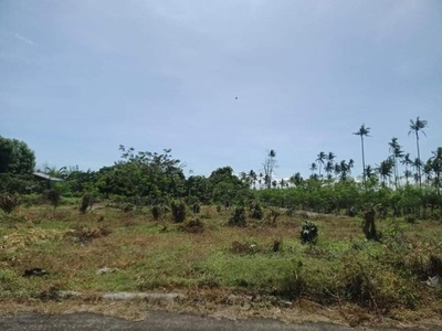 Residential Lot with overview of Banahaw Mountain