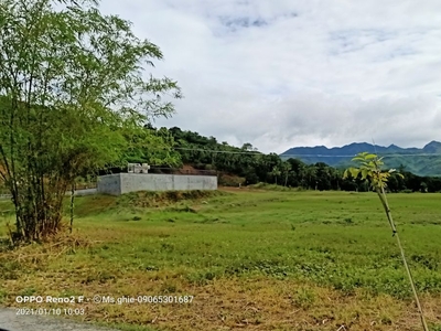 Residential lots for sale along Marcos Highway, Pinugay Baras Rizal