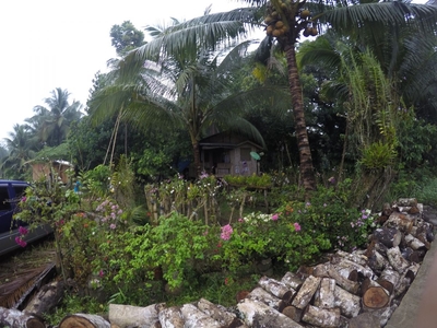 Residential or Agricultural Lot Buldon Maguindanao