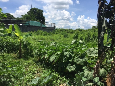 Residential or Agricultural Lot in Brgy. Cacarong Matanda, Pandi, Bulacan