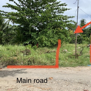 Residential Raw Lot For Sale in General Santos City, South Cotabato