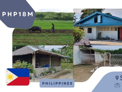 Rice Farm (30,062 sqm) for sale in San Jorge, Samar with buildings & house.