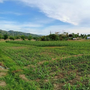 Rice field for sale Clean Title at Rumbang, Rizal, Occidental Mindoro