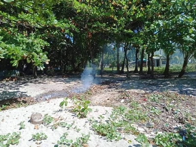 Rush price bolinao pangasinan beach land and sea lot for sale
