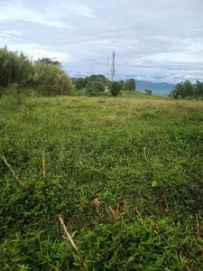 Rush Sale 2.1 Hectares Lot: Clean Title - 5M Only at Tupi, South Cotabato