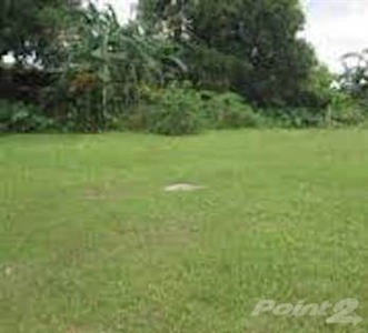 Sale 3 Hectares Bacolor Pampanga Back Vista Mall beside Pointville n Solana Subd