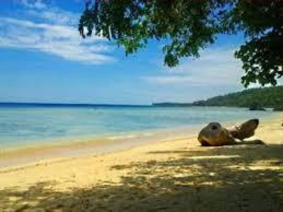 Sale 3 Hectares Island in Bgy 5 in Coron in Palawan with Fine Beach Sand Beach