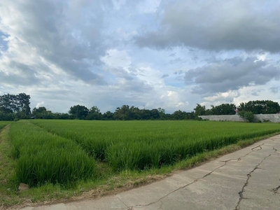 San Rafael, Bulacan Farm Lot (2.2 hectares) for sale