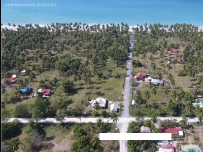 San Vicente Palawan Commercial Lot for Sale