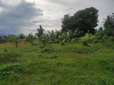 Selling Agricultural Land in Mindoro with Title