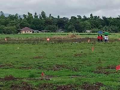 Subdivided Farm Lot for Sale Nasugbu, Batangas