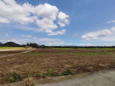 subdivided farm lot in Nasugbu Batangas