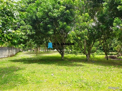 Subdivided Lots for Sale in Valencia, Negros Oriental