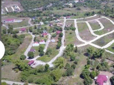 Subdivision Lot for Sale in Alaminos, Pangasinan