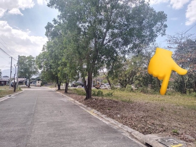 Subic Residential Lot Fot Sale in Earth and Homes Subdivision