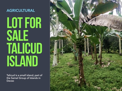 Talicud Davao Farm Lot for Sale