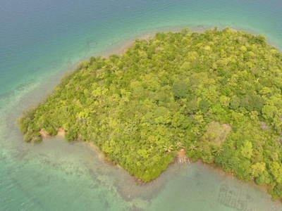 Taytay, Palawan Island and seashore for sale! *Negotiable*
