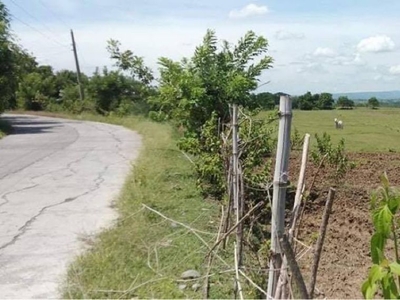Titled 21.5 Hectares Pasture Land For Sale in Tarlac City, Tarlac
