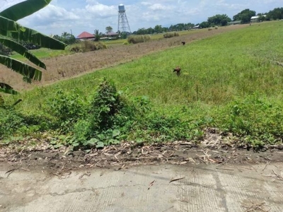 titled and updated tax dec. Lot for sale in San Raymundo,Balungao Pangasinan