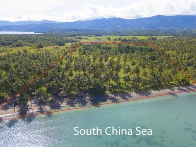 Titled Beach Property for Sale (Quezon,Palawan)