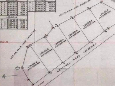 Titled Lot for SALE located in Brgy Olotan JARO LEYTE