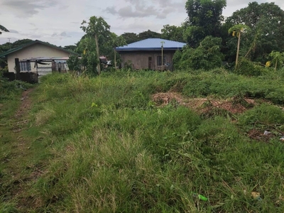 Titled Residential Lot For Sale in Alangilan, Batangas City, Batangas