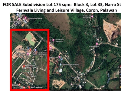 Titled Subdivision Lot in Fernvale Living & Leisure Vil. Coron, Palawan For Sale