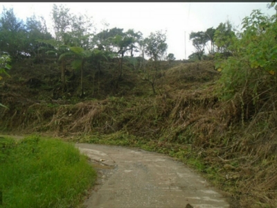 Titled Vacant Lot for Sale Nice View of Baguio City
