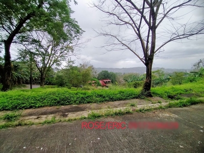 Town And Country Hills Antipolo Corner Lot For Sale