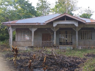 Ttled Property For Sale in Puangyuta, Dimiao, Bohol