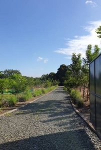 Unique Location!! By Main Road 3,500 m2 Farm Lot for sale in Amadeo, Cavite