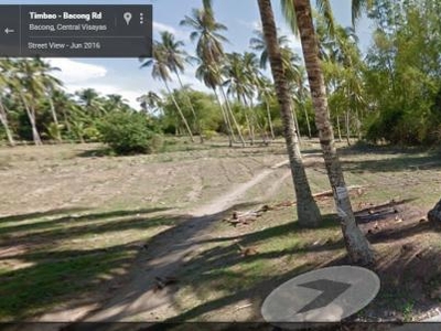 Vacant Lot for Sale in Lutao Bacong Near Dumaguete City