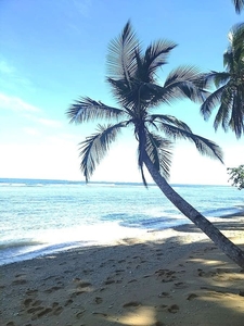 White Sand Beach Lot property for sale in Cagwait, Surigao Del Sur
