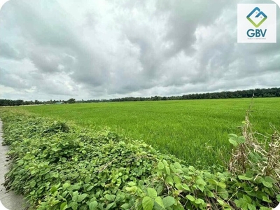 Lot For Sale In Baras, Tacurong