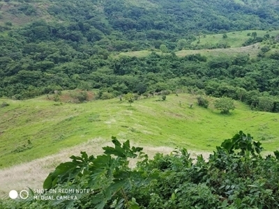 Lot For Sale In Quinawan, Bagac