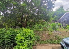RESIDENTIAL LOT FOR SALE IN CAVITE
