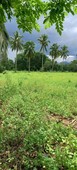 2.4 Hectares Talakag Bukidnon Good for Livestock/Plantation