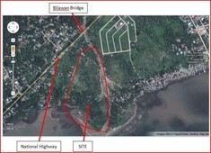 5 hectare lot with 250m beachline in Mati City, Davao Oriental