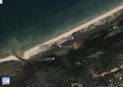 620 sqm Beach Lot for Sale New Agutaya San Vicente Palawan