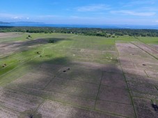 Agricultural Lot for Sale in New Agutaya, San Vicente, Palawan - RUSH SALE!!!