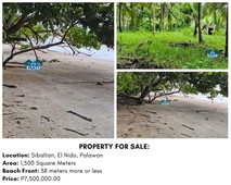 ELNIDO Beach Lot Property For Sale