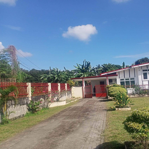 House For Sale In Pulantubig, Dumaguete
