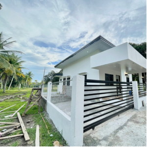 House For Sale In Tambo, Island Of Garden Samal, Samal